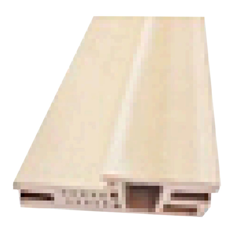 Telaio per porta WPC di tipo A da 100 mm senza piombo per soglia da 50 mm