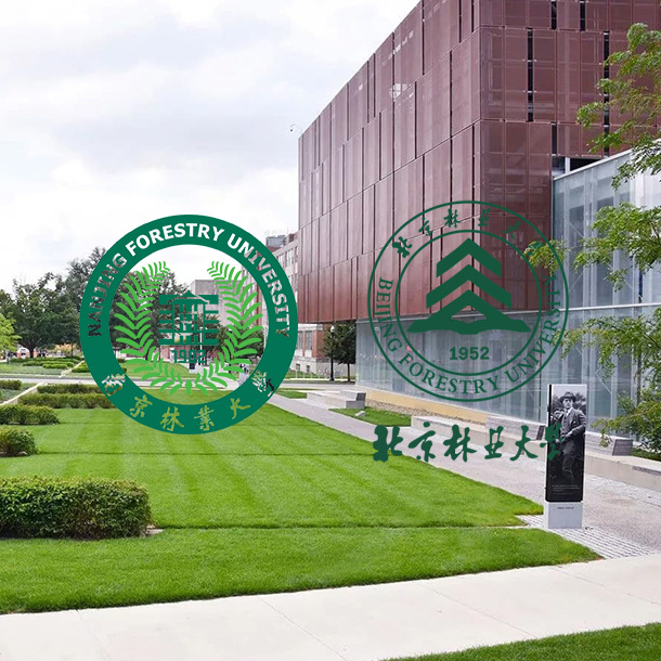 Anhui Guanming Decorazione Materiali Co., Ltd